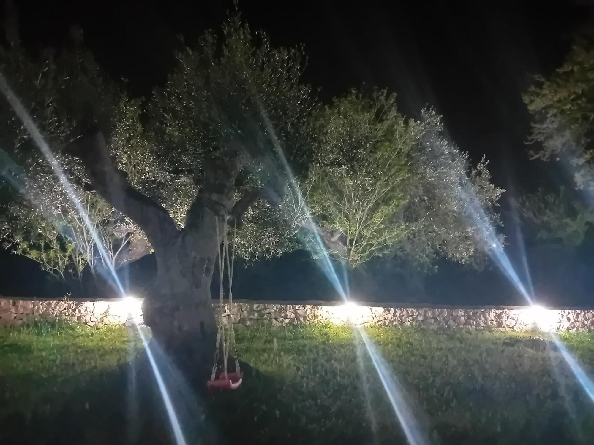 Villa Il Leccio - Trulli تْشيستيرنِنو المظهر الخارجي الصورة