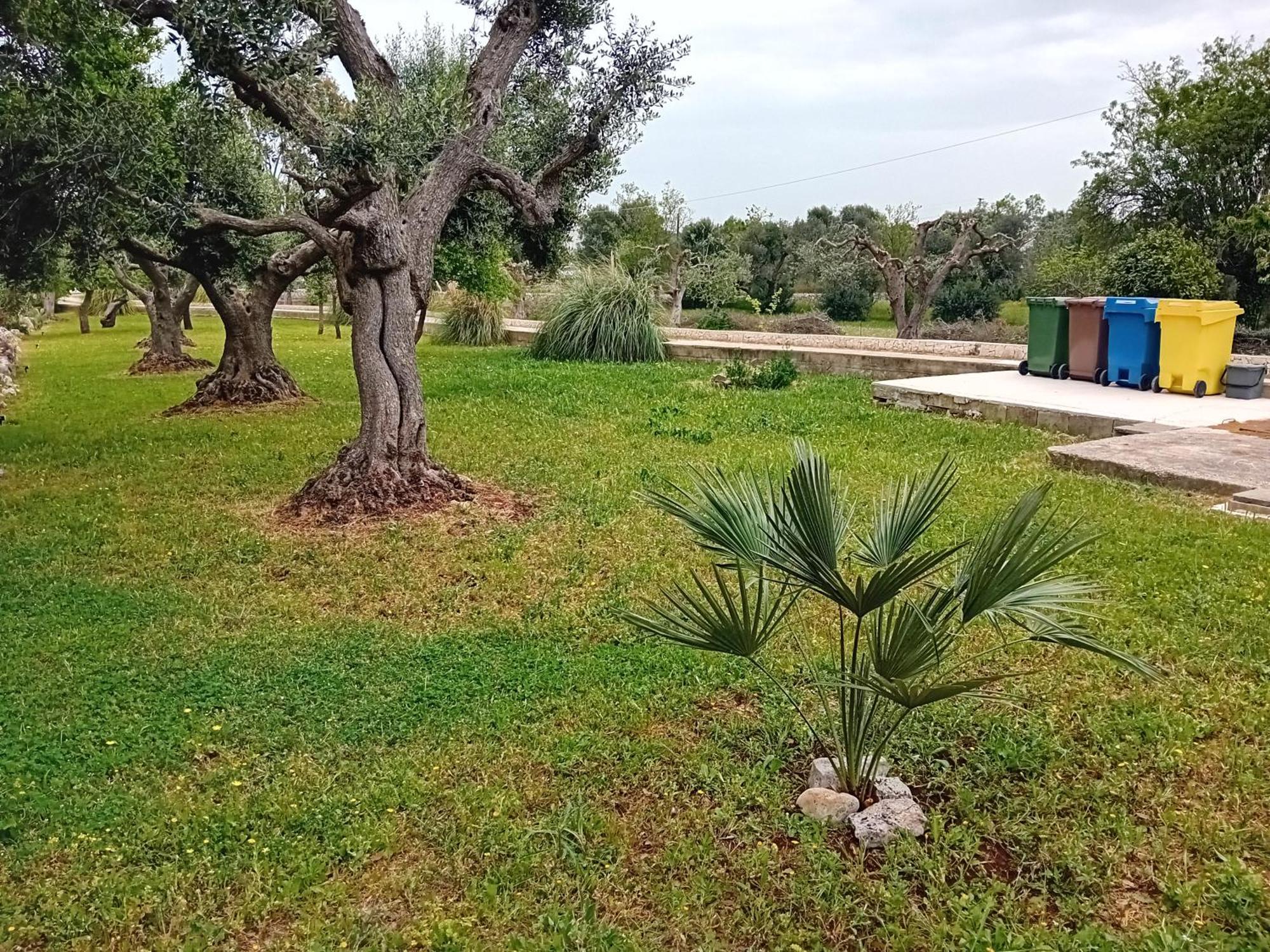 Villa Il Leccio - Trulli تْشيستيرنِنو المظهر الخارجي الصورة