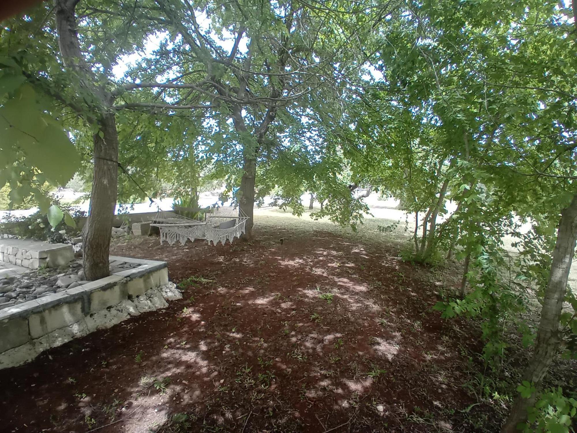 Villa Il Leccio - Trulli تْشيستيرنِنو المظهر الخارجي الصورة