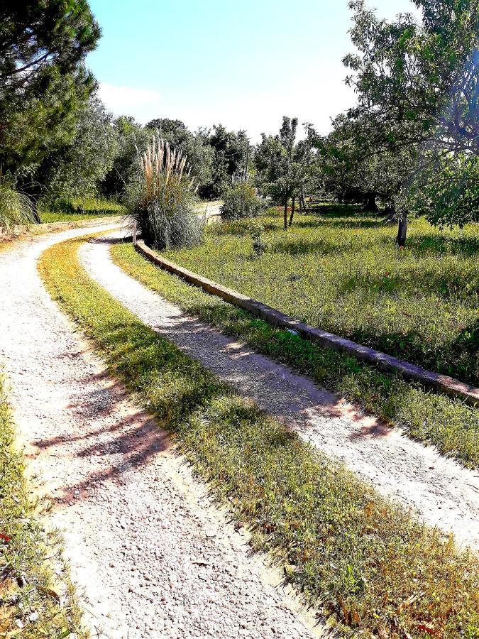 Villa Il Leccio - Trulli تْشيستيرنِنو المظهر الخارجي الصورة